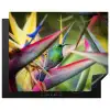 Kleurrijke vogel tussen allemaal kleurrijke platen Inductie beschermer vinyl 3mm groot -3d