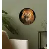 Leeuw - Dieren - Zwart - Licht - Bruin - Portret Wandcirkel kunststof plaat 5mm dik klein -sfeer3
