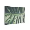 Bladeren - Tropisch - Jungle PET vilt middel -3d