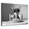 Chihuahua - Hond - Zonnebril - Humoristisch - Zwart - Wit - Spaghetti Textielframe - compleet frame klein -3d