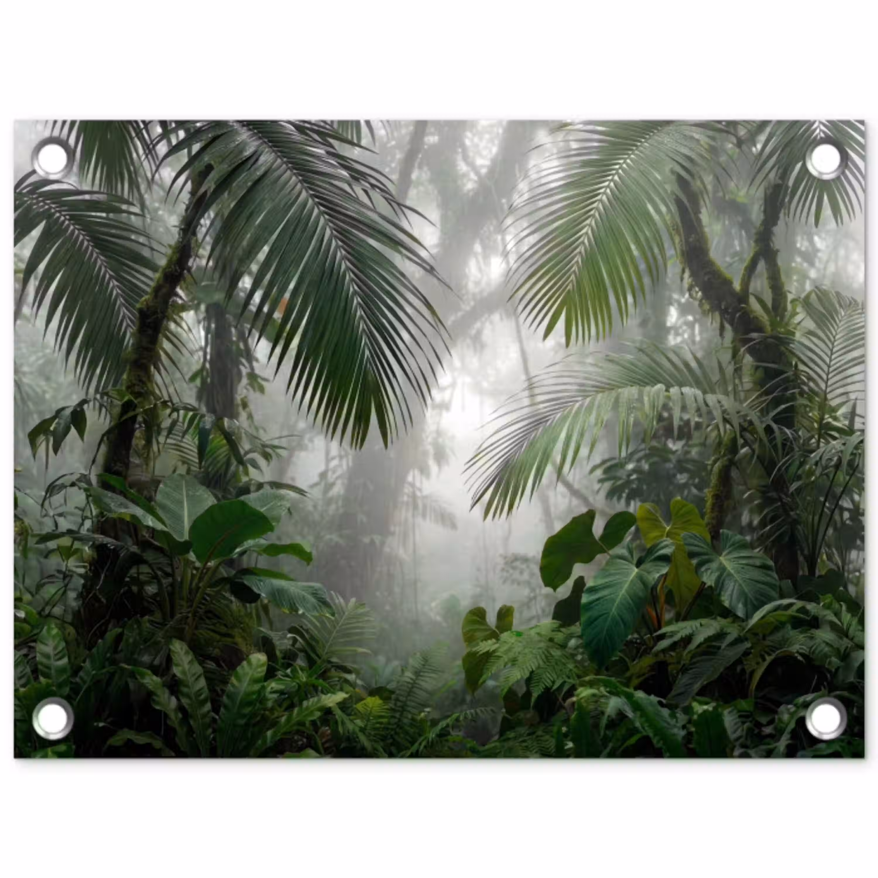 Natuur - Jungle - Mist - Tropisch - Groen tuinposter los doek klein -3d