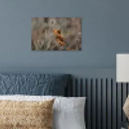Zonnehoed - Droogbloemen - Geel - Warm poster papier klein -sfeer2