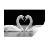 Zwanen - Hart - Zwart - Wit Muursticker klein -3d
