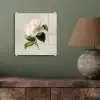 Cameliabloem - Wit - Groen plexiglas 5mm klein -sfeer3