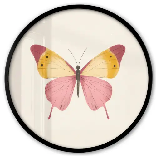 Vlinder - Illustratie - Roze Fotolijst rond zonder passe partout klein -3d