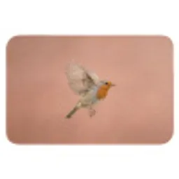 Roodborst - Natuur - Roze Badmat klein -3d