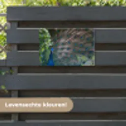 Vogel - Pauw - Veren tuinposter los doek klein -sfeer3