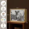 Zebra's - Zwart - Wit Light Box met batterij (Wandlamp) middel -USP_websiteoverzichtNL