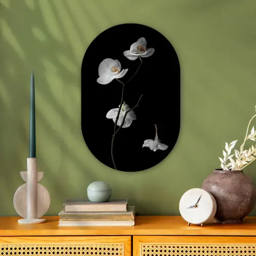 Orchidee - Bloemen - Zwart - Wit - Stilleven Wandcirkel Ovaal Forex klein -sfeer2