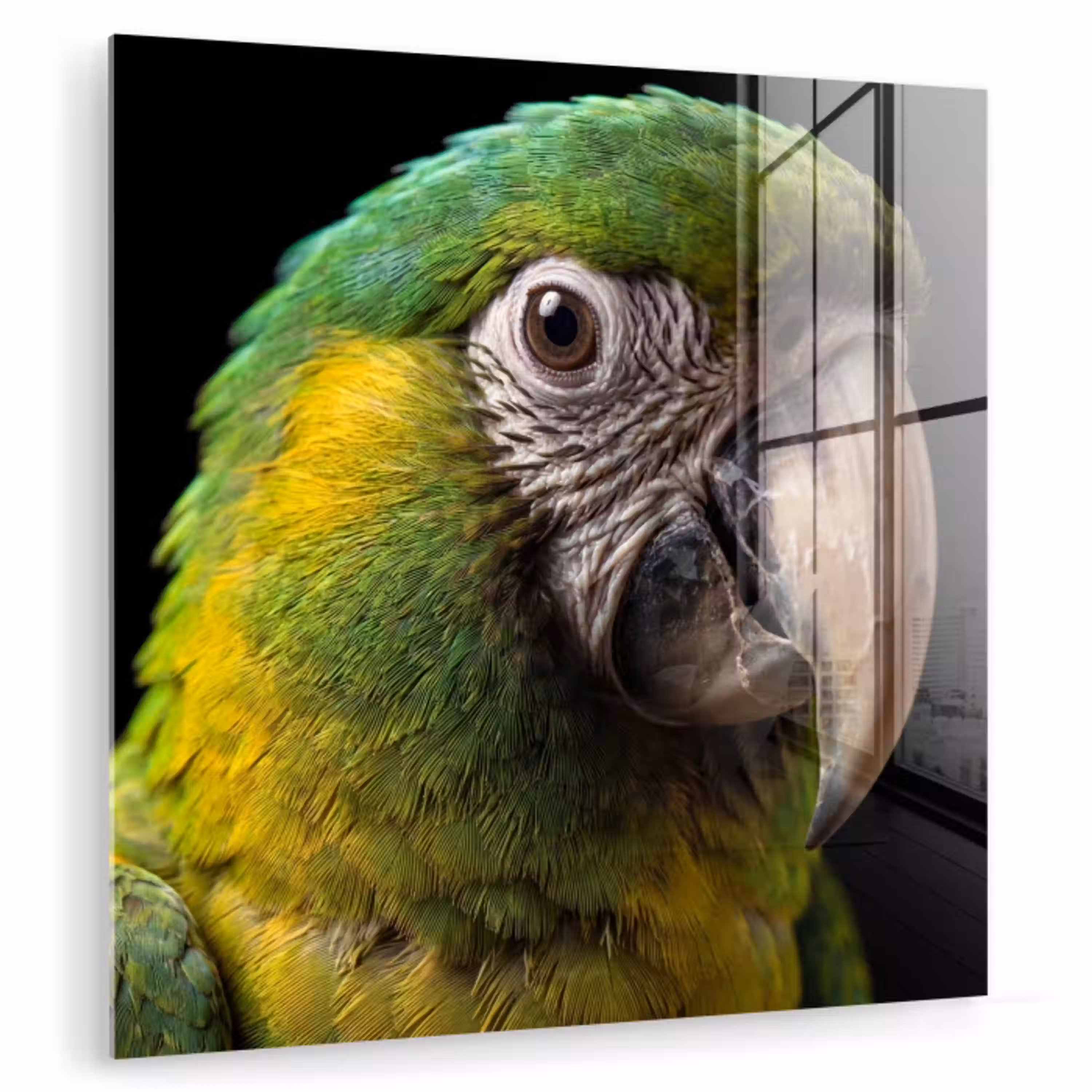 Ara - Portret - Groen plexiglas 5mm klein -zzzproduct_nieuw