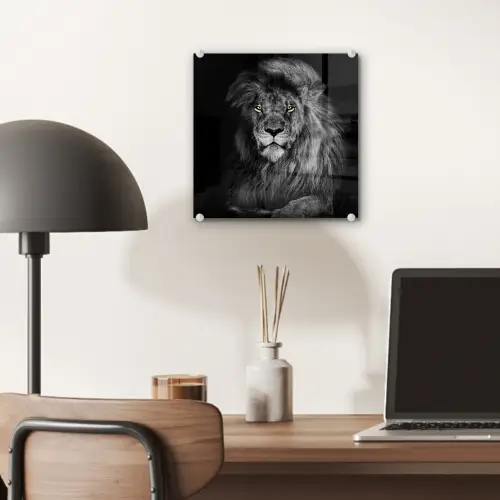 Leeuw - Ogen - Oranje - Zwart wit - Dieren - Portret plexiglas 5mm klein -sfeer6