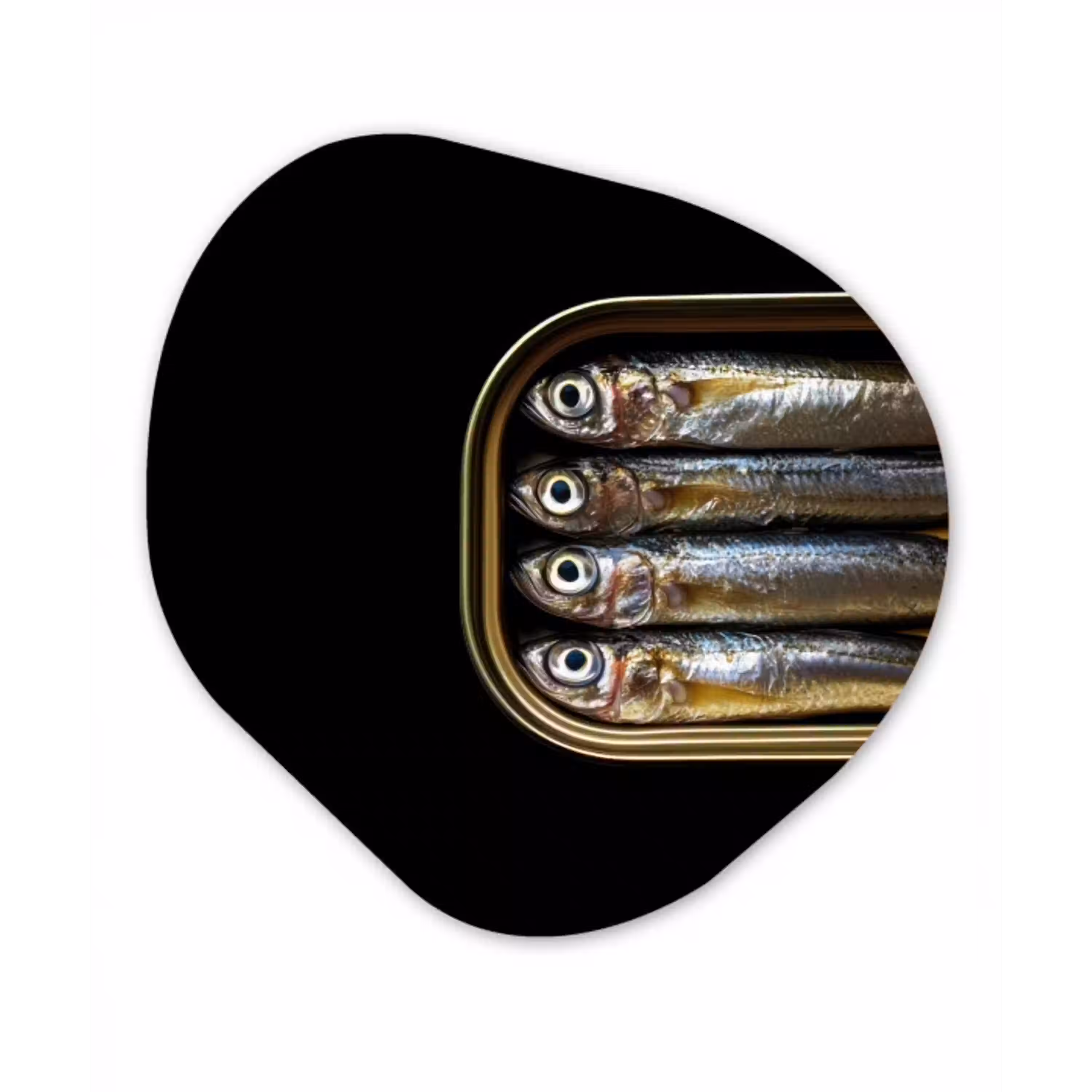 Sardines - Blik - Zwart - Vissen Wandcirkel Organisch Forex 3mm klein -3d