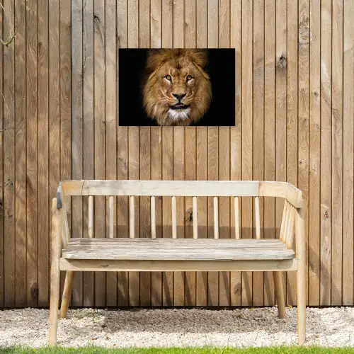 Leeuw - Portret - Zwart - Dieren Tuinposter op houten frame 2 cm dik klein -sfeer4