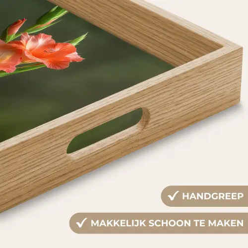 Bloem - Gladiolen - Zalmroze Dienblad Rechthoek middel -USP_HandgreepNL