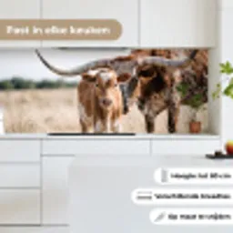 Texas Longhorn - Kalf - Weide - Dieren keuken achterwand 2 middel -sfeer4_NL