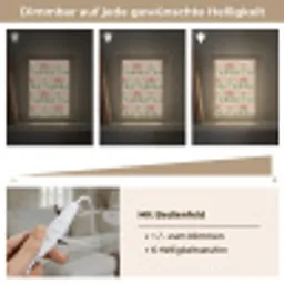 Klassiek - Patroon - Roze Light Box met kabel (Tafellamp) klein 925 -USP_dimbaarDE