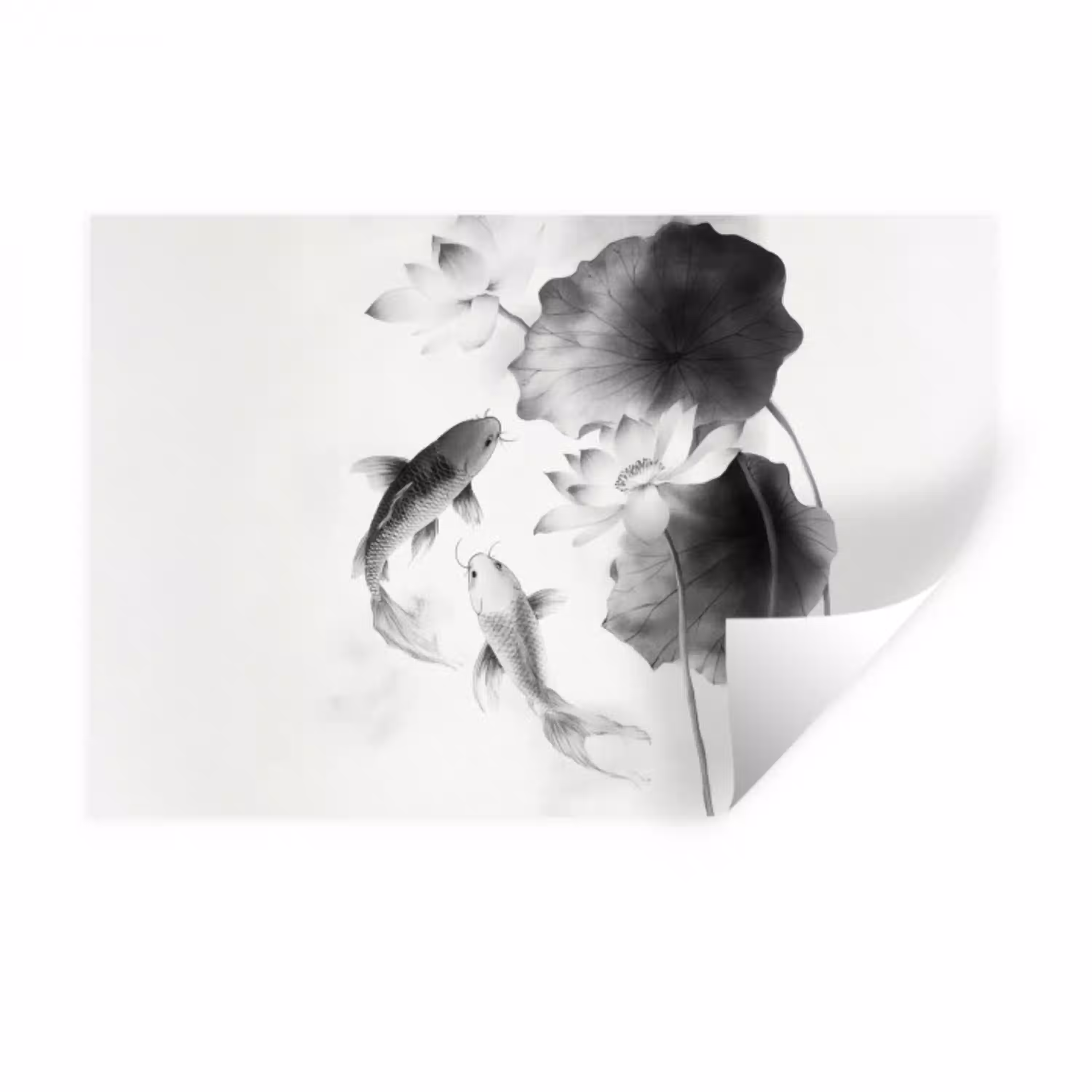 Lotusbloemen - Vissen - Bladeren - Zwart Muursticker klein -3d