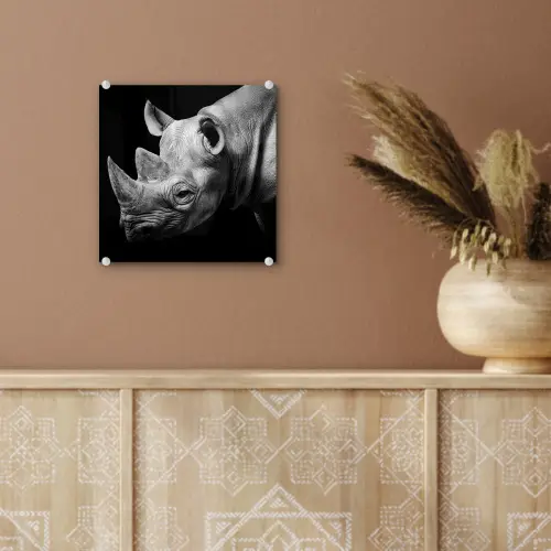 Dieren - Neushoorn - Zwart - Wit - Portret plexiglas 5mm klein -sfeer5