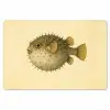 Stekels - Vis - Opgeblazen - Bruin Placemat vinyl groot -zzsfeer1_Kitchenyeah-website