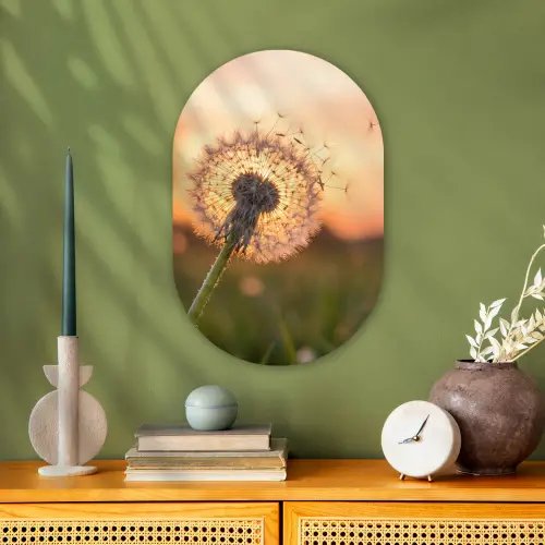 Paardenbloem - Zonsondergang - Veld Wandcirkel Ovaal Forex klein -sfeer2