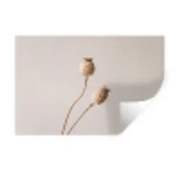Papaverbollen - Droogbloemen - Minimalistisch - Beige - Rustig Muursticker klein -3d