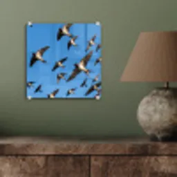 Zwaluwen - Vliegen - Blauw plexiglas 5mm klein -sfeer3