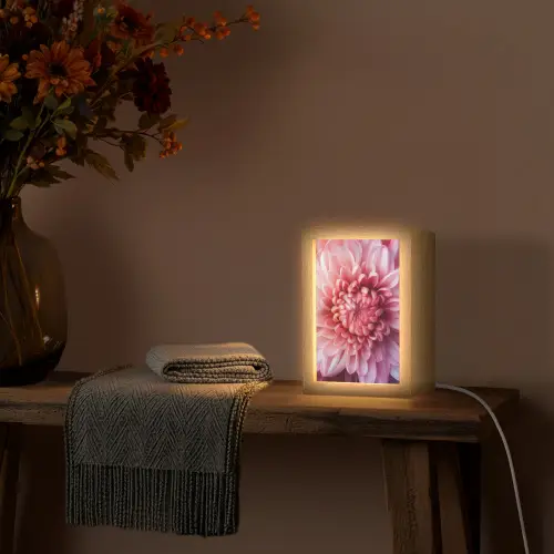 Dahlia - Bloem - Close up - Roze Light Box met kabel (Tafellamp) klein -sfeer4