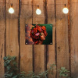 Vrouw - Drankenfruit - Rozen tuinposter los doek klein -sfeer1