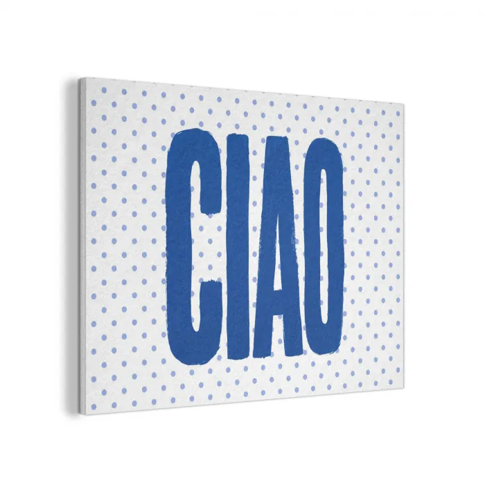 Ciao - Blauw - Stippen PET vilt klein -3d