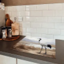 Kraanvogel - Natuur - Realistisch Inductie beschermer vinyl 3mm middel -sfeer3