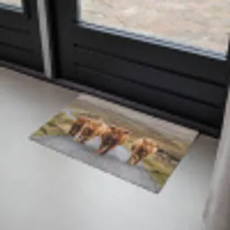 Schotse Hooglanders - Weg - Landschap - Kudde Deurmat klein -sfeer2