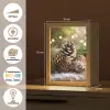 Dennenappels - Kerstsfeer - Bruin - Groen Light Box met kabel (Tafellamp) klein -USP_websiteoverzichtNL