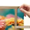 Bloemen - Kleurrijk - Natuur - Gerbera Light Box met batterij (Wandlamp) middel -USP_websiteprintNL