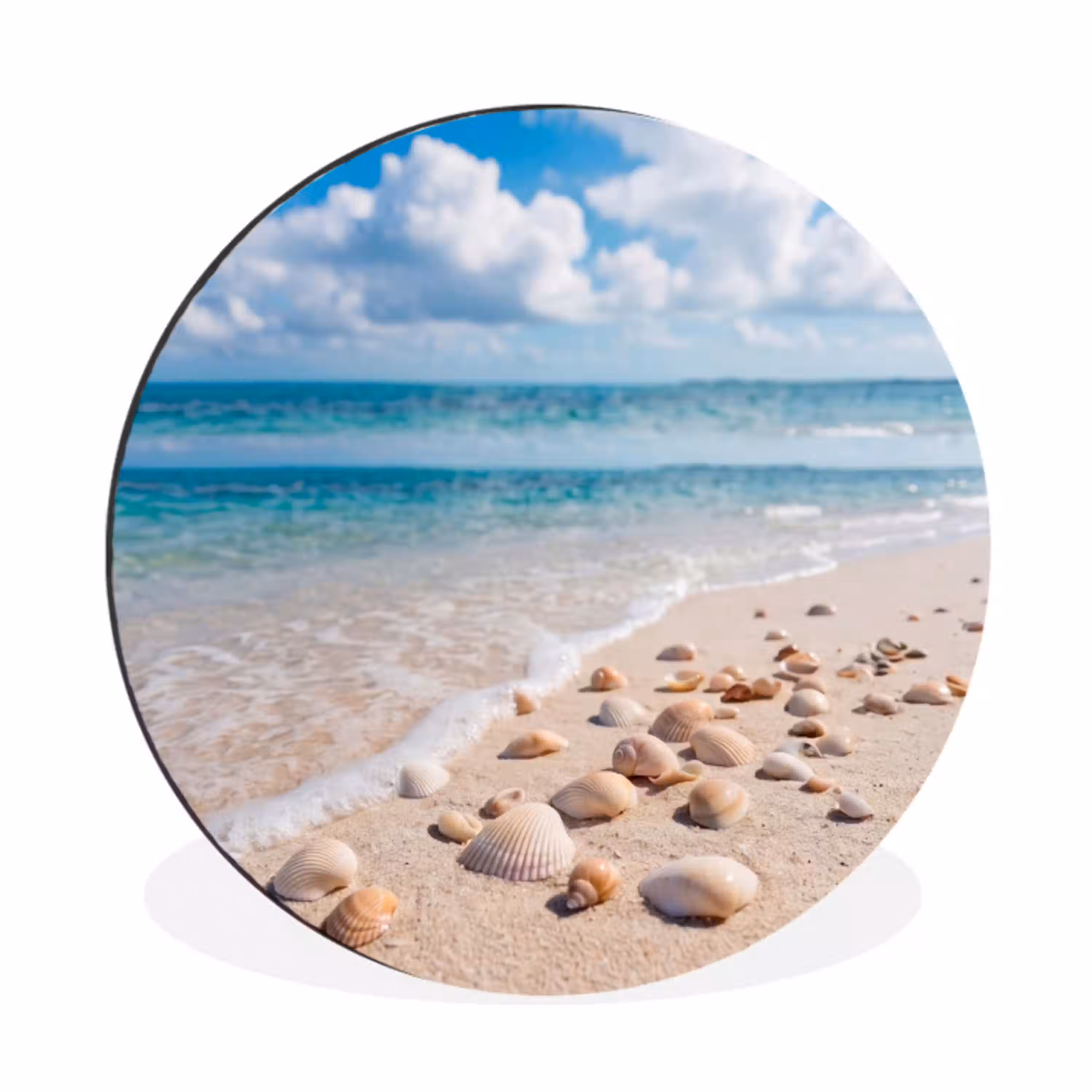 Schelpen - Strand - Natuur - Beige Wandcirkel aluminium klein -3d