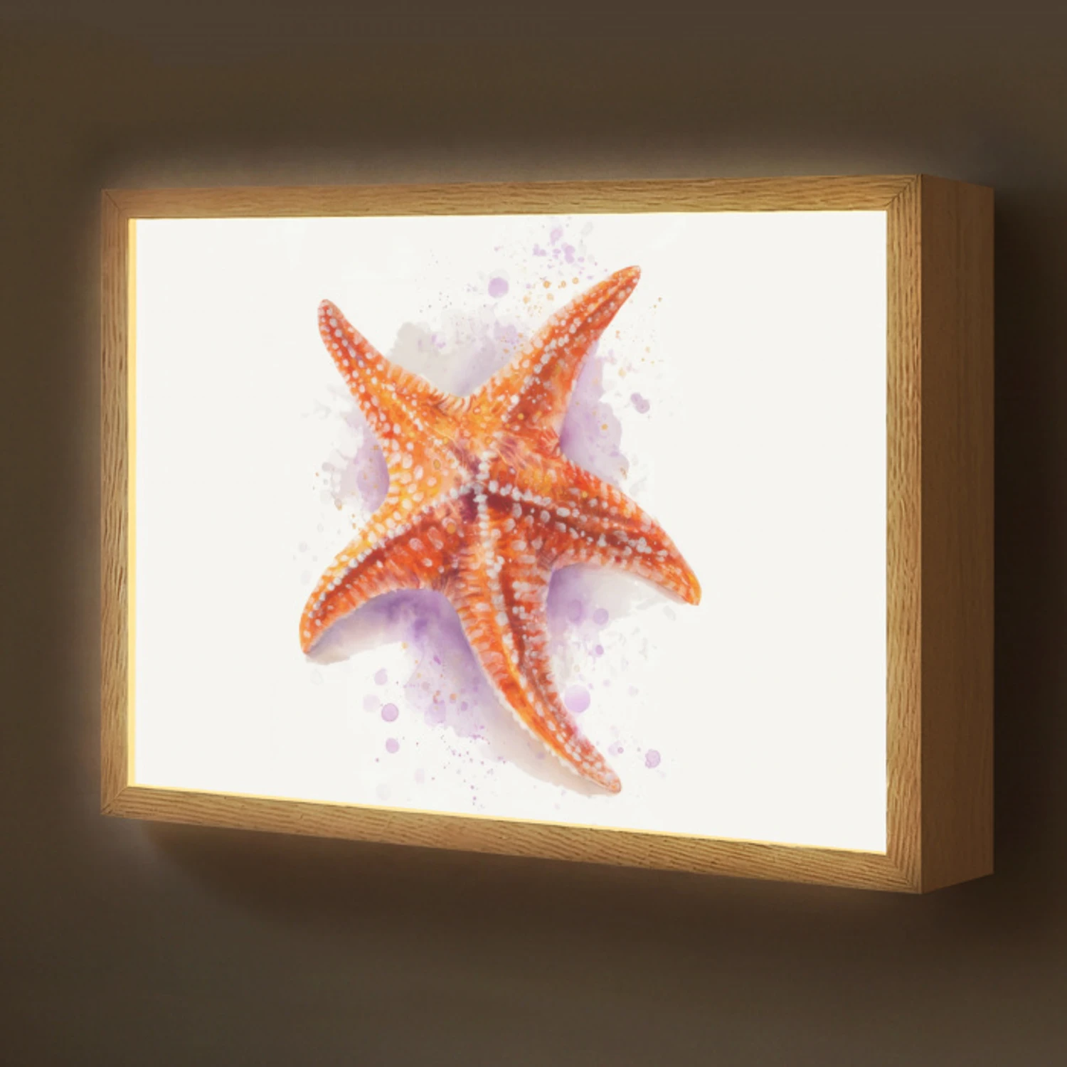 Zeester - Oranje - Paars Light Box met batterij (Wandlamp kind) middel -z3d_website