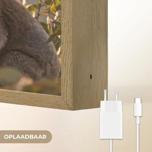 Koala - Bladeren - Ochtendlicht Light Box met batterij (Wandlamp) middel -USP_websiteoplaadbaarNL