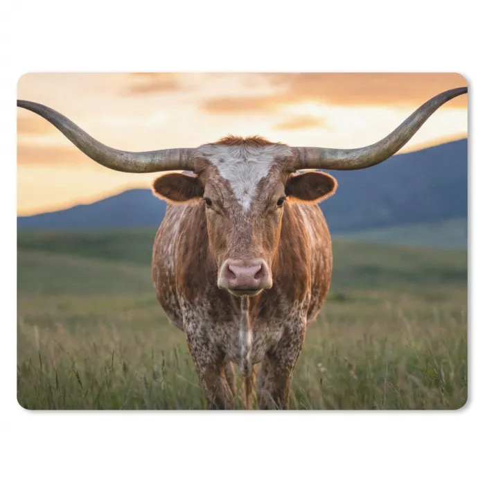 Longhorn - Landschap - Zonsondergang muismat rubber klein -3d