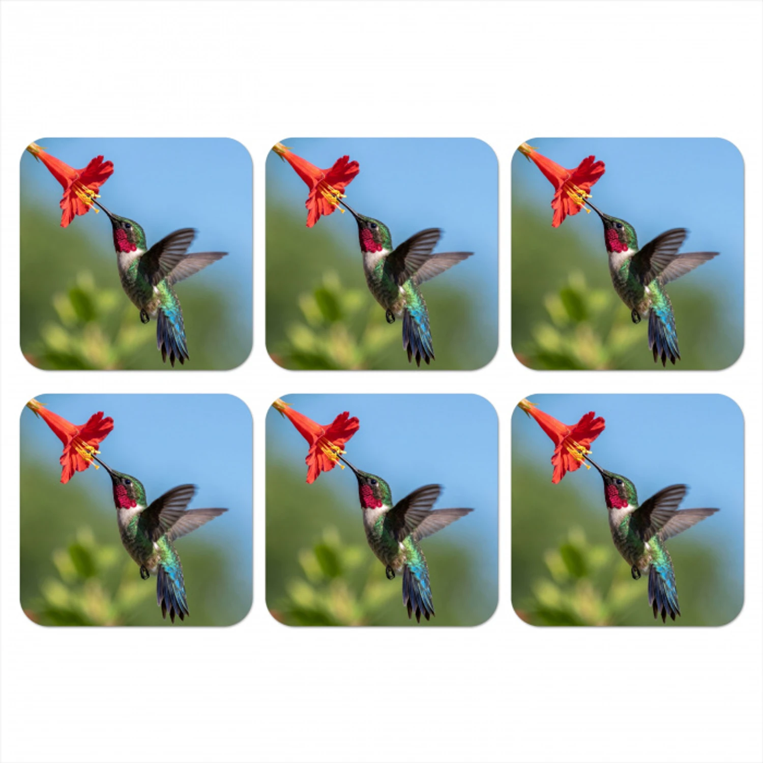 Kolibrie - Bloem - Natuur - Groen onderzetter kurk middel -3d