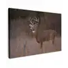 Herfst - Hert - Gras - Natuur - Dieren canvas 2cm klein -z3d