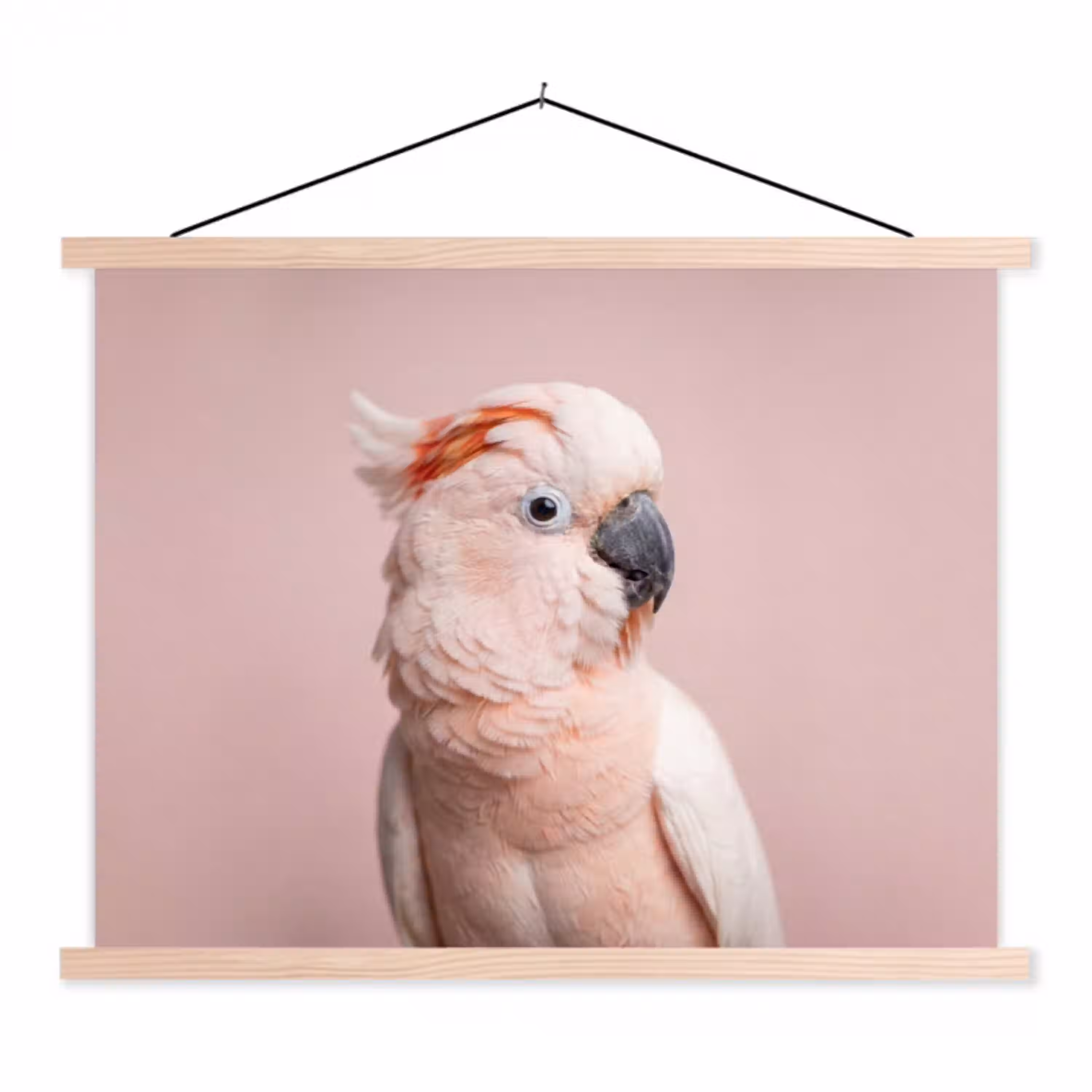 Kaketoe - Portret - Roze textielposter latten blank klein -3d