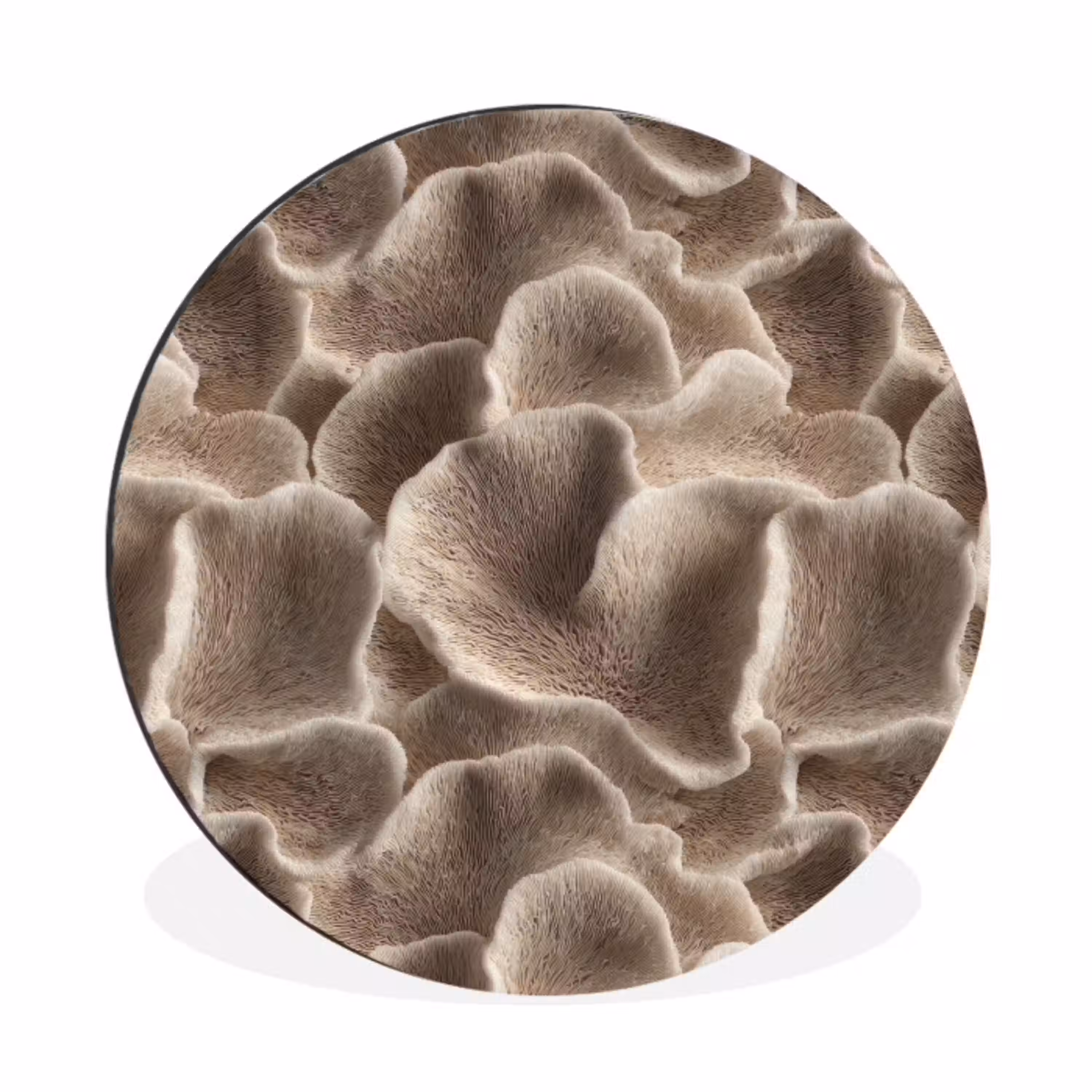 Waaiervorm - Beige - Vezel textuur Wandcirkel aluminium klein 190 -3d