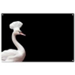 zwaan-3-2-gigapixel-standard-v2-2x tuinposter los doek groot -3d
