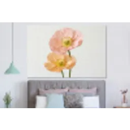 Papavers - Botanisch - Roze forex 5mm xxl -slaapkamer
