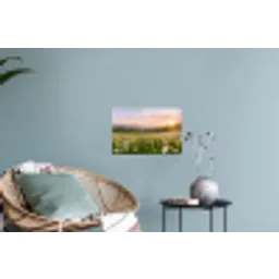Madelief - Veld - Heuvels - Groen Muursticker klein -plant