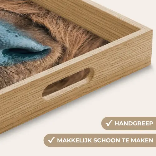 Schotse hooglander - Neus - Bruin Dienblad Rechthoek middel -USP_HandgreepNL