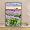 Bloemen - Lavendel - Paars - Lucht - Zonsondergang - Weide - Natuur canvas 2cm klein -sfeer1