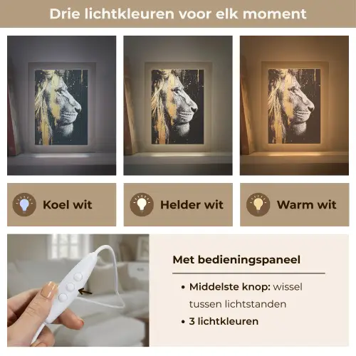 Portret - Leeuw - Abstract - Goud Light Box met kabel (Tafellamp) klein -USP_lichtkleurNL