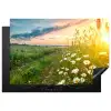 Bloemen - Madelief - Natuur - Zon - Horizon Inductie beschermer vinyl 3mm klein -3d