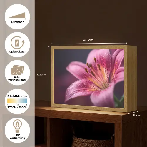 Roze - lelie - Dauwdruppels Light Box met batterij (Wandlamp) middel -USP_websiteoverzichtNL