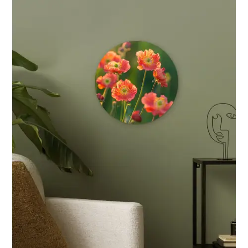 Bloemenveld - Zonnestralen - Oranje Wandcirkel kunststof plaat 5mm dik klein -sfeer3